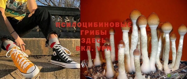 мет Мегион