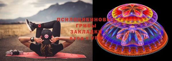 гидропоника Медвежьегорск