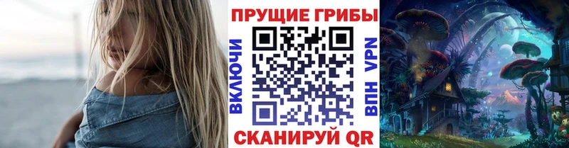 Купить где  Советская Гавань  Псилоцибиновые грибы MAGIC MUSHROOMS 